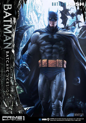 Batman Hush: Batcave Version