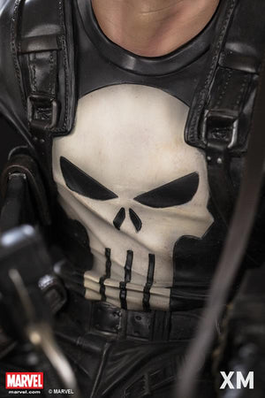 The Punisher