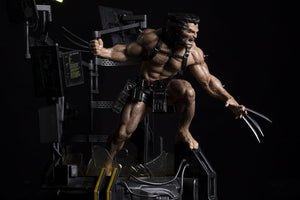 Wolverine - Weapon X